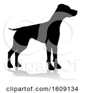 Silhouetted Pointer Dog With A Reflection Or Shadow On A White Background