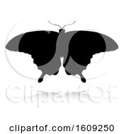 Clipart Of A Silhouetted Butterfly With A Reflection Or Shadow On A White Background Royalty Free Vector Illustration