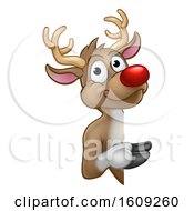 Poster, Art Print Of Red Nosed Christmas Reindeer Looking Around A Sign