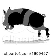 Poster, Art Print Of Pig Silhouette Farm Animal With A Reflection Or Shadow On A White Background