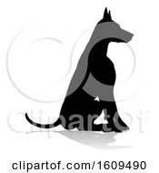 Poster, Art Print Of Dog Silhouette Pet Animal With A Reflection Or Shadow On A White Background