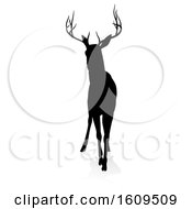 Poster, Art Print Of Black Silhouetted Deer Stag Buck With A Shadow On A White Background