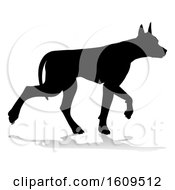 Silhouetted Doberman Dog With A Reflection Or Shadow On A White Background
