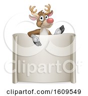 Poster, Art Print Of Red Nosed Christmas Reindeer Over A Blank Scroll Sign