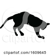 Clipart Of A Halloween Cat Black And White Silhouette Royalty Free Vector Illustration