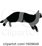 Poster, Art Print Of Halloween Cat Black And White Silhouette