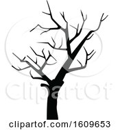 Poster, Art Print Of Halloween Bare Tree Black And White Silhouette