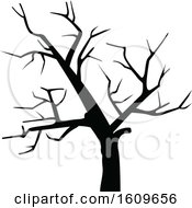 Poster, Art Print Of Halloween Bare Tree Black And White Silhouette