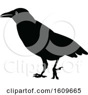 Clipart Of A Halloween Crow Black And White Silhouette Royalty Free Vector Illustration