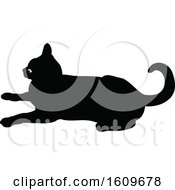 Poster, Art Print Of Halloween Cat Black And White Silhouette