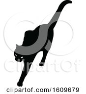 Poster, Art Print Of Halloween Cat Black And White Silhouette