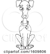 Clipart Of A Black And White Sitting Doberman Dog Royalty Free Vector Illustration
