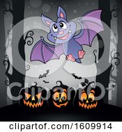 Clipart Of A Halloween Vampire Bat Over Jackolanterns Royalty Free Vector Illustration