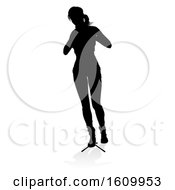 Singer Pop Country Rock Star Woman Silhouette