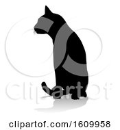 Poster, Art Print Of Silhouette Cat Pet Animal