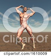 Poster, Art Print Of 3d Male Body Buildern With Muscle Map In Barren Landscape