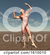 Poster, Art Print Of 3d Male Body Builder With Muscle Map In Barren Landscape