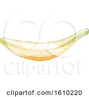 Poster, Art Print Of Sketched Yellow Banana