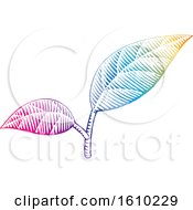 Clipart Of Sketched Colorful Leaves Royalty Free Vector Illustration