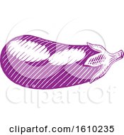 Clipart Of A Sketched Purple Eggplant Royalty Free Vector Illustration by cidepix