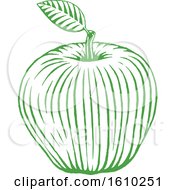 Clipart Of A Sketched Green Apple Royalty Free Vector Illustration by cidepix