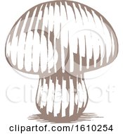 Clipart Of A Sketched Brown Mushroom Royalty Free Vector Illustration by cidepix