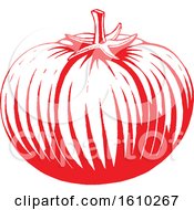 Clipart Of A Sketched Red Tomato Royalty Free Vector Illustration by cidepix