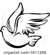 Poster, Art Print Of Black And White Dove