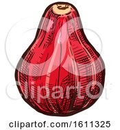 Clipart Of A Sketched Champakka Tropical Exotic Fruit Royalty Free Vector Illustration