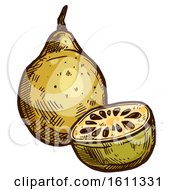 Clipart Of A Sketched Bael Tropical Exotic Fruit Royalty Free Vector Illustration