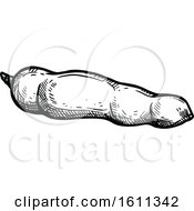 Clipart Of A Sketched Tamarind Tropical Exotic Fruit Royalty Free Vector Illustration by Vector Tradition SM
