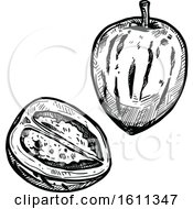 Clipart Of A Sketched Pepino Tropical Exotic Fruit Royalty Free Vector Illustration