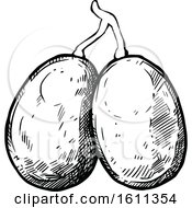 Clipart Of A Sketched Ambarella Tropical Exotic Fruit Royalty Free Vector Illustration