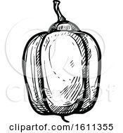 Clipart Of A Sketched Ackee Tropical Exotic Fruit Royalty Free Vector Illustration