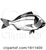 Clipart Of A Black And White Fish Royalty Free Vector Illustration