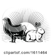 Poster, Art Print Of Black And White Grouse And Rabbit