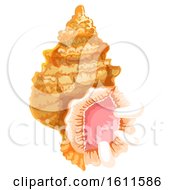 Clipart Of A Sea Shell Royalty Free Vector Illustration