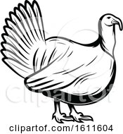 Poster, Art Print Of Black And White Turkey Bird
