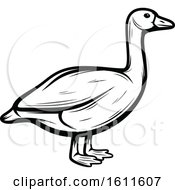 Clipart Of A Black And White Goose Royalty Free Vector Illustration by Vector Tradition SM