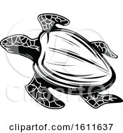 Clipart Of A Black And White Sea Turtle Royalty Free Vector Illustration