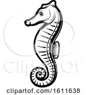 Clipart Of A Black And White Seahorse Royalty Free Vector Illustration