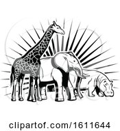 Clipart Of A Black And White Giraffe Elephant And Hippo Against Sun Rays Royalty Free Vector Illustration