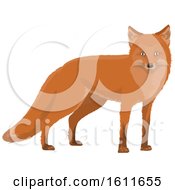 Poster, Art Print Of Fox