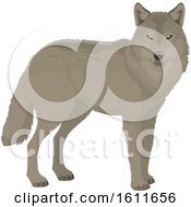Clipart Of A Wolf Royalty Free Vector Illustration