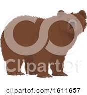 Poster, Art Print Of Bear