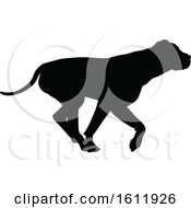 Poster, Art Print Of Silhouetted Dog