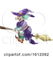 Clipart Of A Warty Witch Flying On A Broomstick Royalty Free Vector Illustration