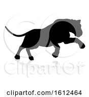 Poster, Art Print Of Silhouette Lion On A White Background
