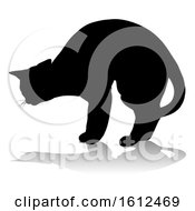 Poster, Art Print Of Silhouette Cat Pet Animal On A White Background