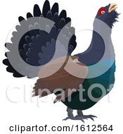 Clipart Of A Grouse Game Bird Royalty Free Vector Illustration